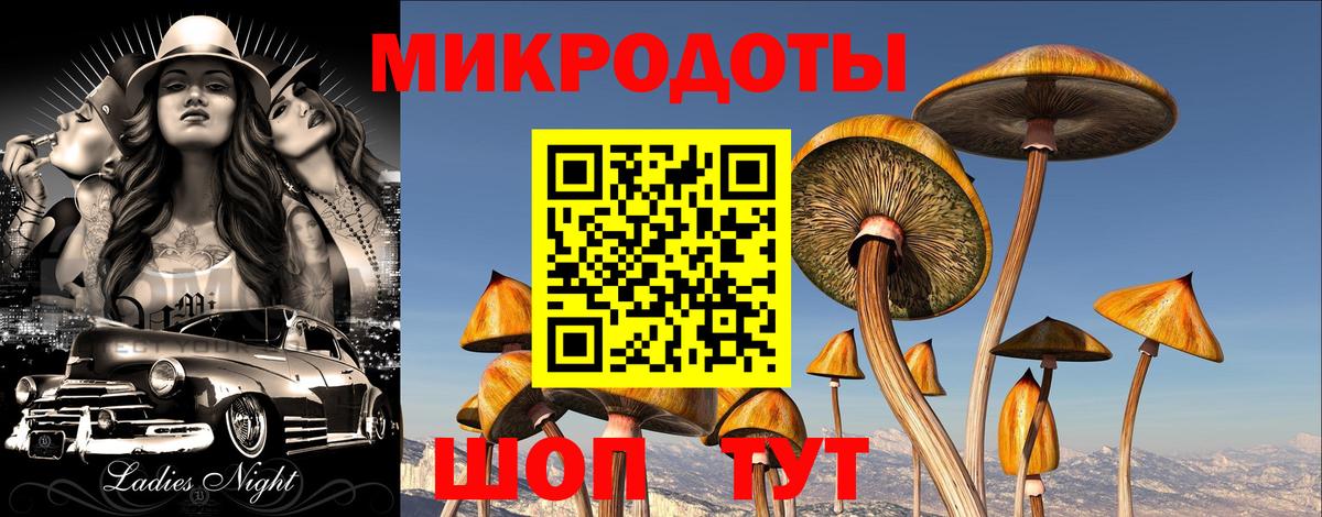 Мурино  Псилоцибиновые грибы прущие грибы  Псилоцибиновые грибы MAGIC MUSHROOMS  Вход с VPN 